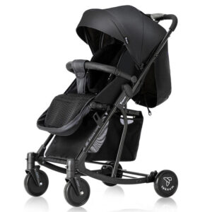 TEKNUM 2 in 1 Glide Stroller
